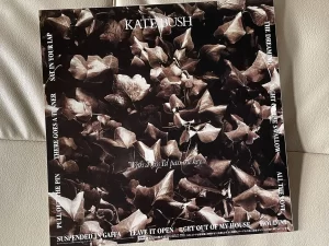 ケイト・ブッシュ（Kate Bush）『ドリーミング』（The Dreaming）：ジャケットの裏面