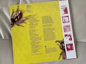 イエロージャケッツ（Yellowjackets）『イエロージャケッツ』（Yellowjackets）：ジャケットの裏面